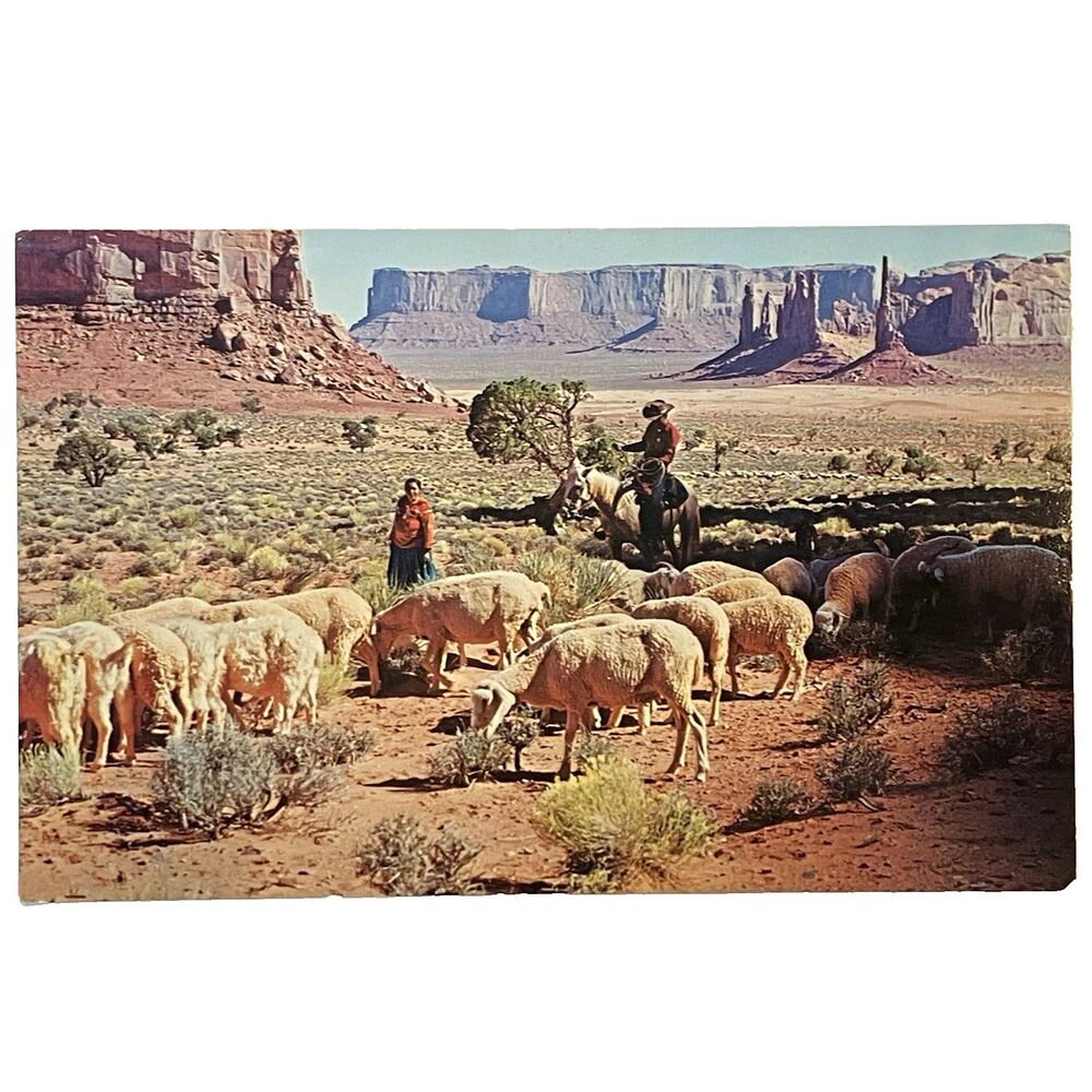 Sheep Navajo Postcard Monument Valley Arizona Utah Landscape Horse Cowboy Woman